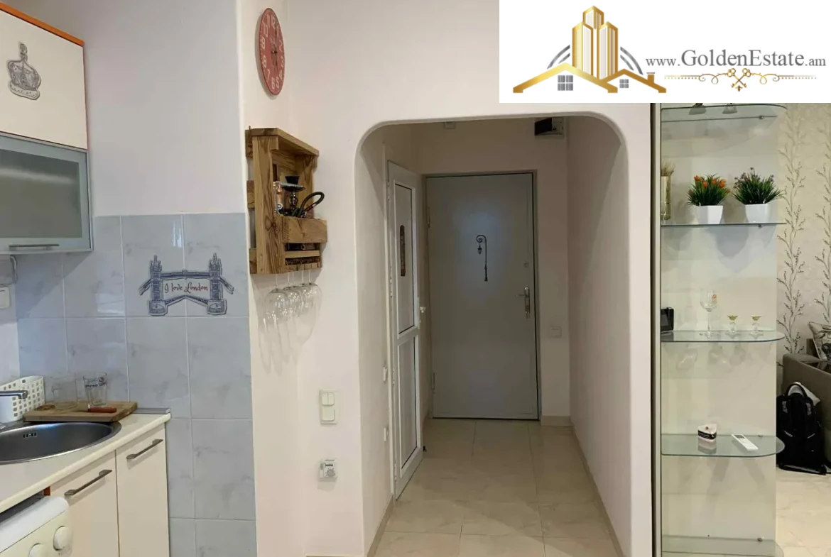 1 սենյականոց բնակարան Աղբյուր Սերոբի փողոցում Արաբկիրում, 42 քմ, բարձր առաստաղներ, քարե շենք