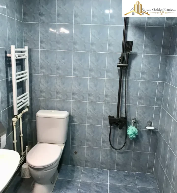 Մեկ հարկանի քարե տուն Նոր Արեշի 12-րդ փողոցում Էրեբունիում, 140 քմ, 217 քմ հողի վրա, 3+ սանհանգույց