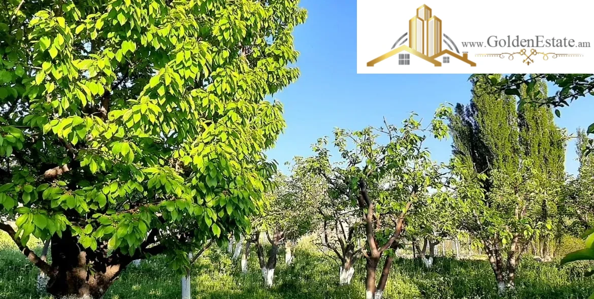 Երկու հարկանի քարե տուն Գեղարդում, 250 քմ, 4880 քմ հողի վրա