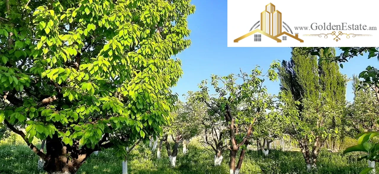 Երկու հարկանի քարե տուն Գեղարդում, 250 քմ, 4880 քմ հողի վրա