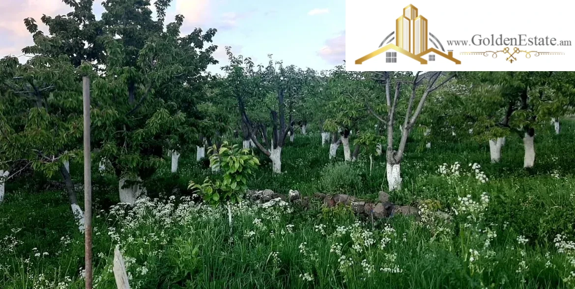 Երկու հարկանի քարե տուն Գեղարդում, 250 քմ, 4880 քմ հողի վրա