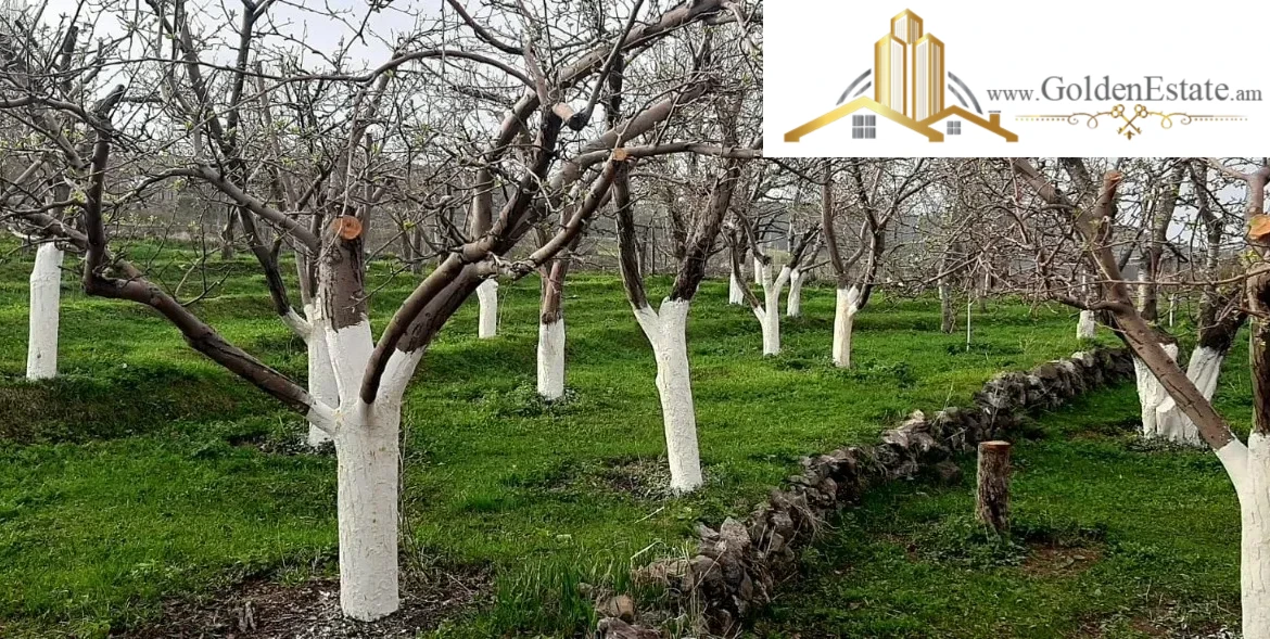 Երկու հարկանի քարե տուն Գեղարդում, 250 քմ, 4880 քմ հողի վրա