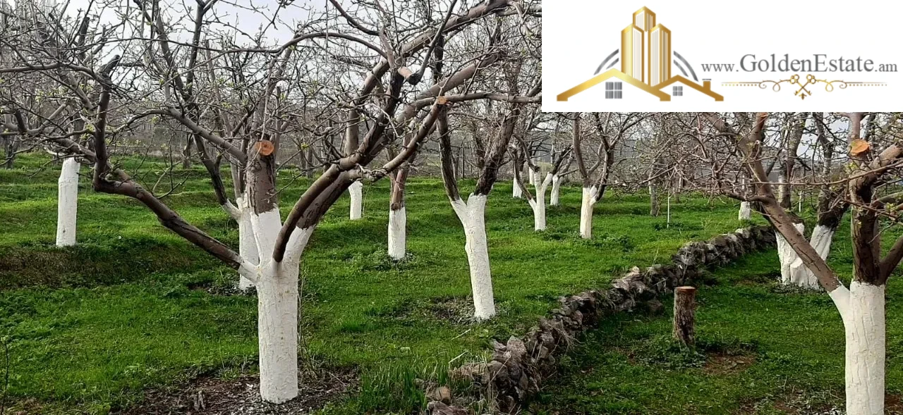 Երկու հարկանի քարե տուն Գեղարդում, 250 քմ, 4880 քմ հողի վրա