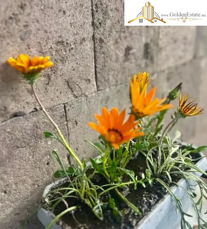 2 սենյականոց բնակարան Արզումանյան փողոցում Աջափնյակում, 37 քմ, 2/4 հարկ, բարձր առաստաղներ, քարե շենք