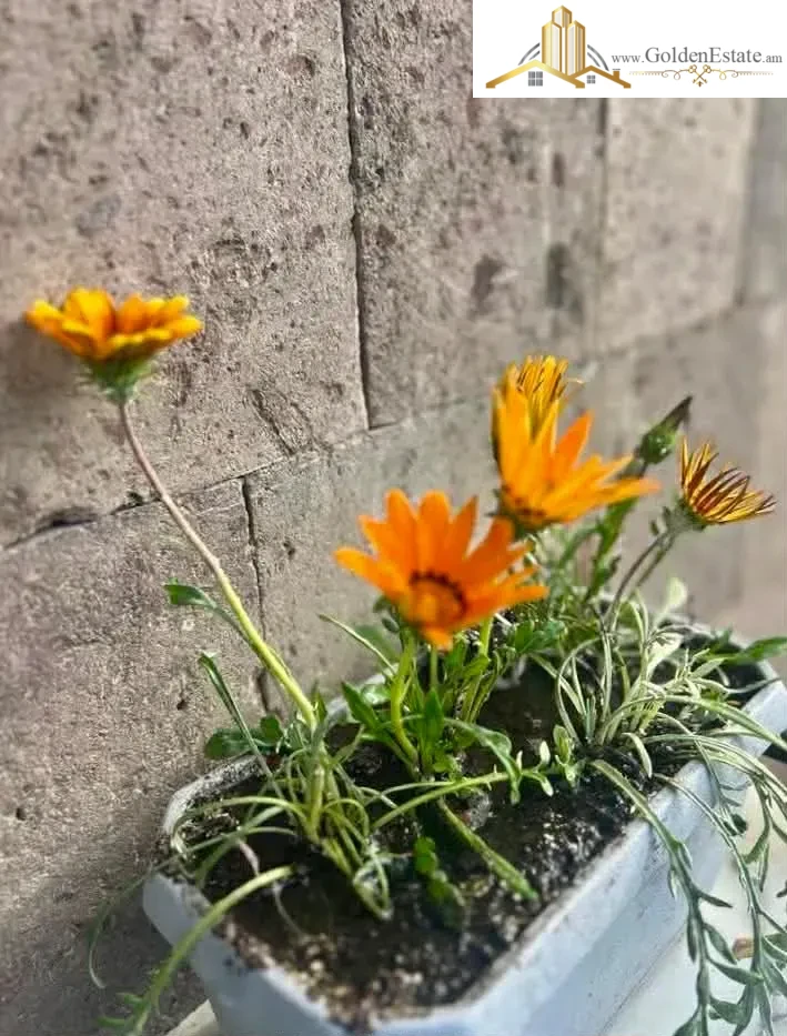 2 սենյականոց բնակարան Արզումանյան փողոցում Աջափնյակում, 37 քմ, 2/4 հարկ, բարձր առաստաղներ, քարե շենք