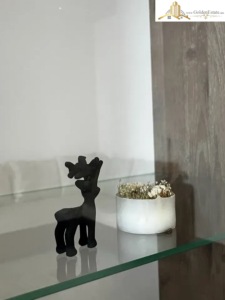 2 սենյականոց բնակարան նորակառույց շենքում Կարապետ Ուլնեցու փողոցում Արաբկիրում, 73 քմ, 6/16 հարկ