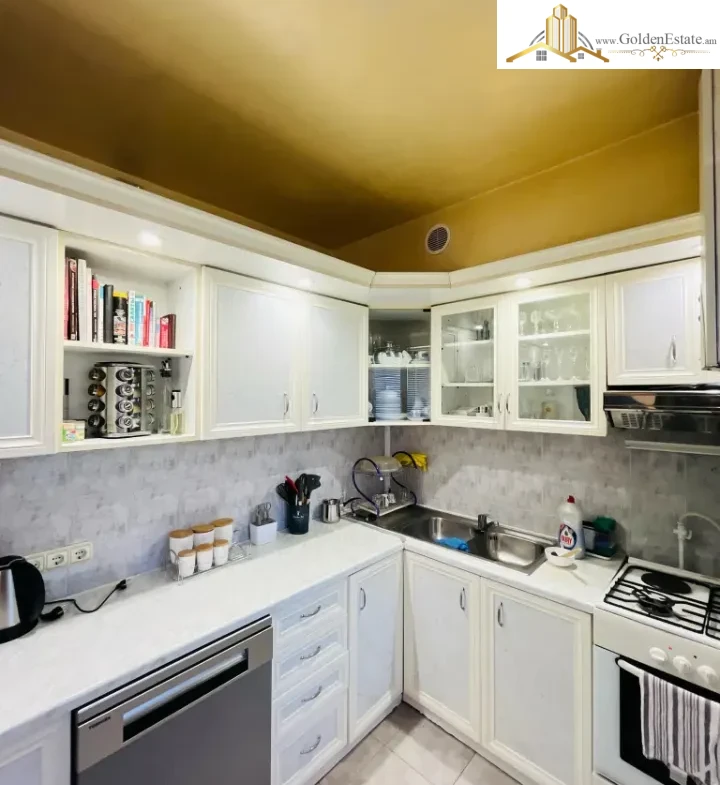 6 սենյականոց բնակարան Հրաչյա Քոչարի փողոցում Արաբկիրում, 193 քմ, 2 սանհանգույց, բարձր առաստաղներ