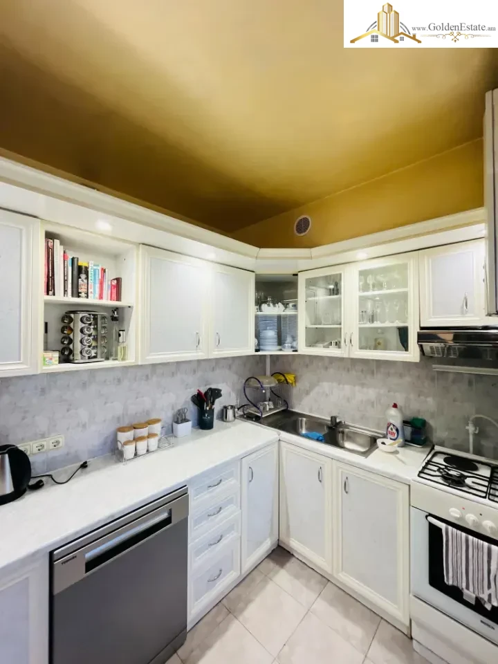 6 սենյականոց բնակարան Հրաչյա Քոչարի փողոցում Արաբկիրում, 193 քմ, 2 սանհանգույց, բարձր առաստաղներ