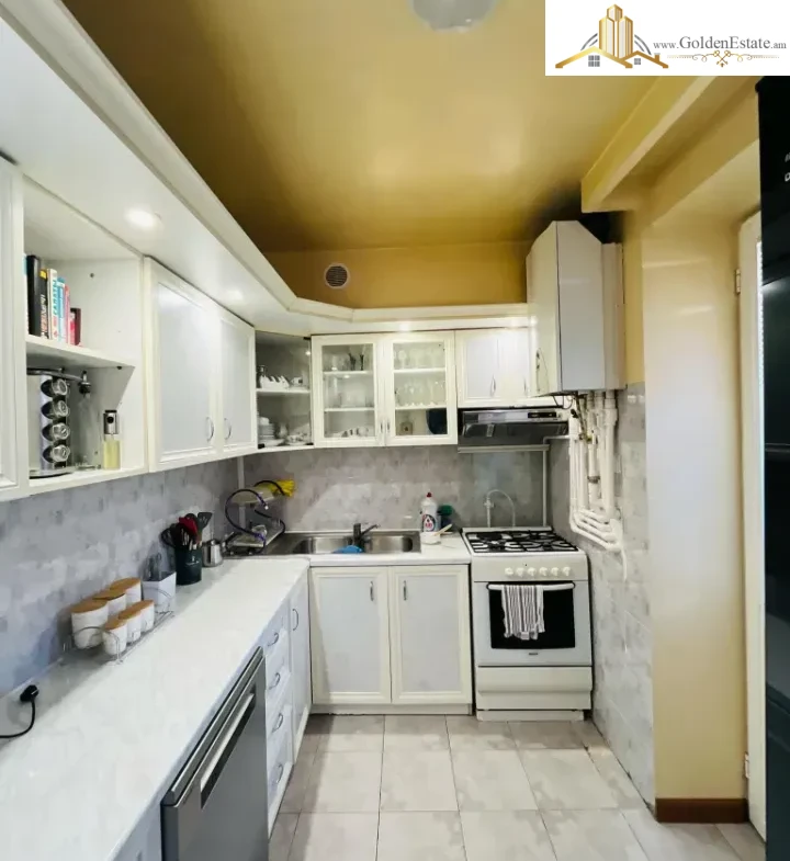 6 սենյականոց բնակարան Հրաչյա Քոչարի փողոցում Արաբկիրում, 193 քմ, 2 սանհանգույց, բարձր առաստաղներ