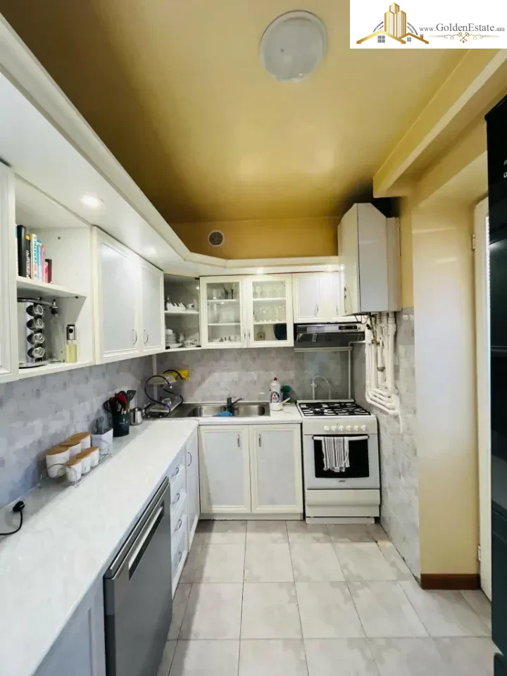 6 սենյականոց բնակարան Հրաչյա Քոչարի փողոցում Արաբկիրում, 193 քմ, 2 սանհանգույց, բարձր առաստաղներ