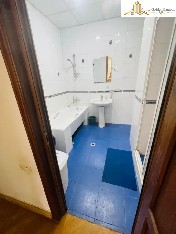 6 սենյականոց բնակարան Օրբելի եղբայրների փողոցում Արաբկիրում, 179 քմ, նախավերջին հարկ, 2 սանհանգույց