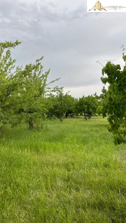 Գյուղատնտեսական հողատարածք Ներքին Չարբախ 3-րդ փողոց 1-ին նրբանցքում Շենգավիթում, 1,000 քմ