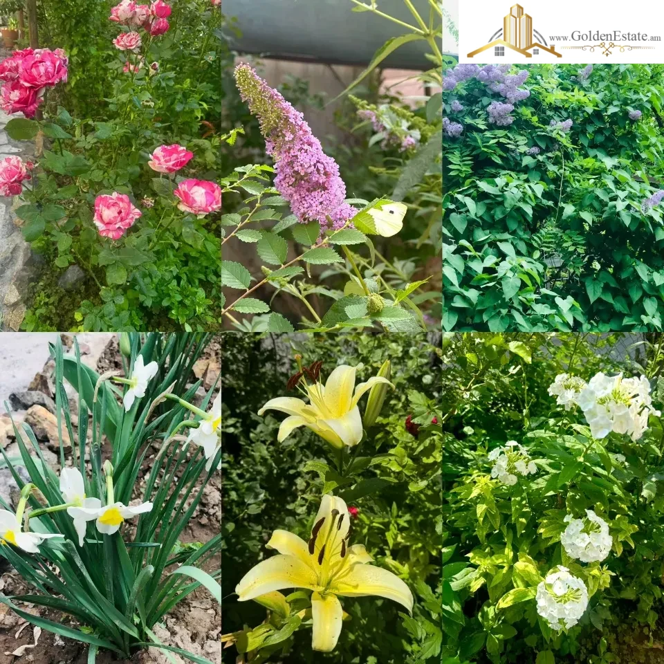 3 սենյականոց բնակարան Դավիթ Հովհաննեսի փողոցում Արաբկիրում, 71 քմ, 1/9 հարկ, բարձր առաստաղներ