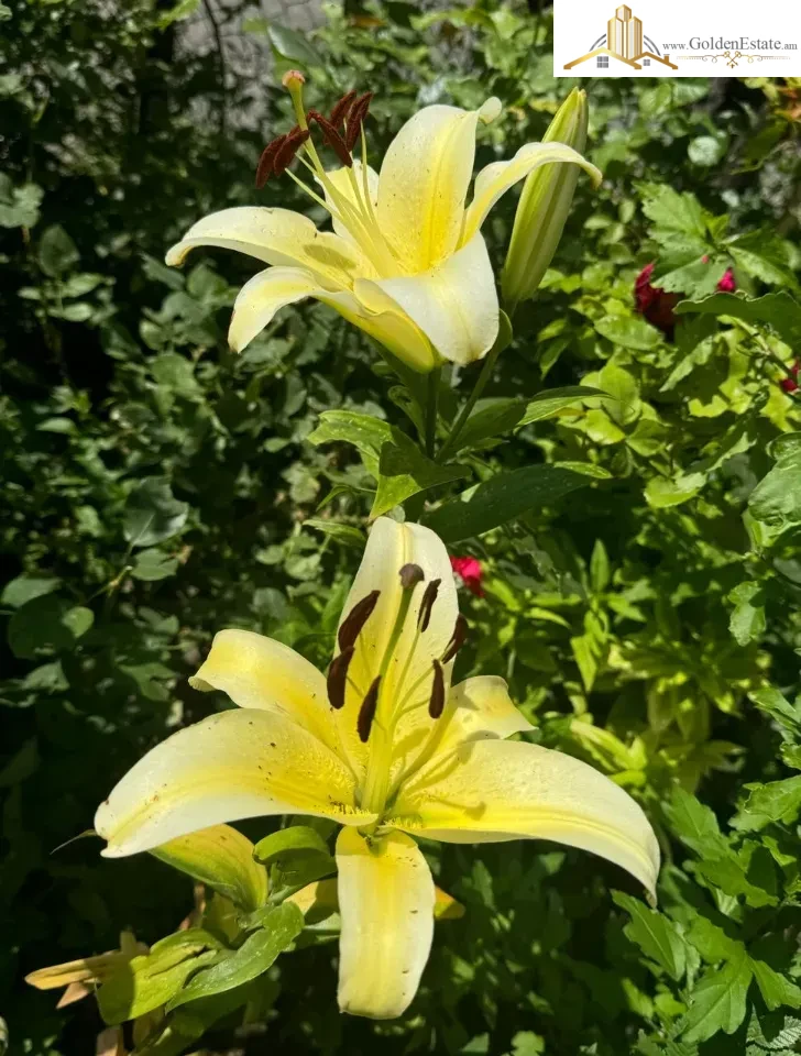 3 սենյականոց բնակարան Դավիթ Հովհաննեսի փողոցում Արաբկիրում, 71 քմ, 1/9 հարկ, բարձր առաստաղներ