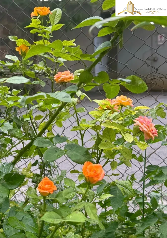 3 սենյականոց բնակարան Դավիթ Հովհաննեսի փողոցում Արաբկիրում, 71 քմ, 1/9 հարկ, բարձր առաստաղներ