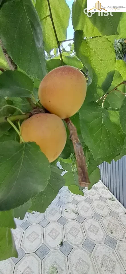 Հյուրանոց Պարույր Սևակի փողոցում Պտղունքում, 200 քմ