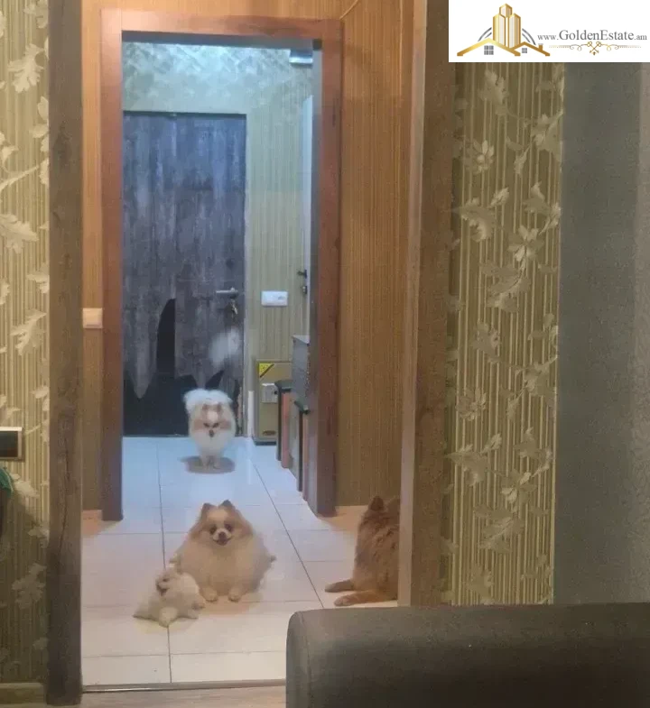 720