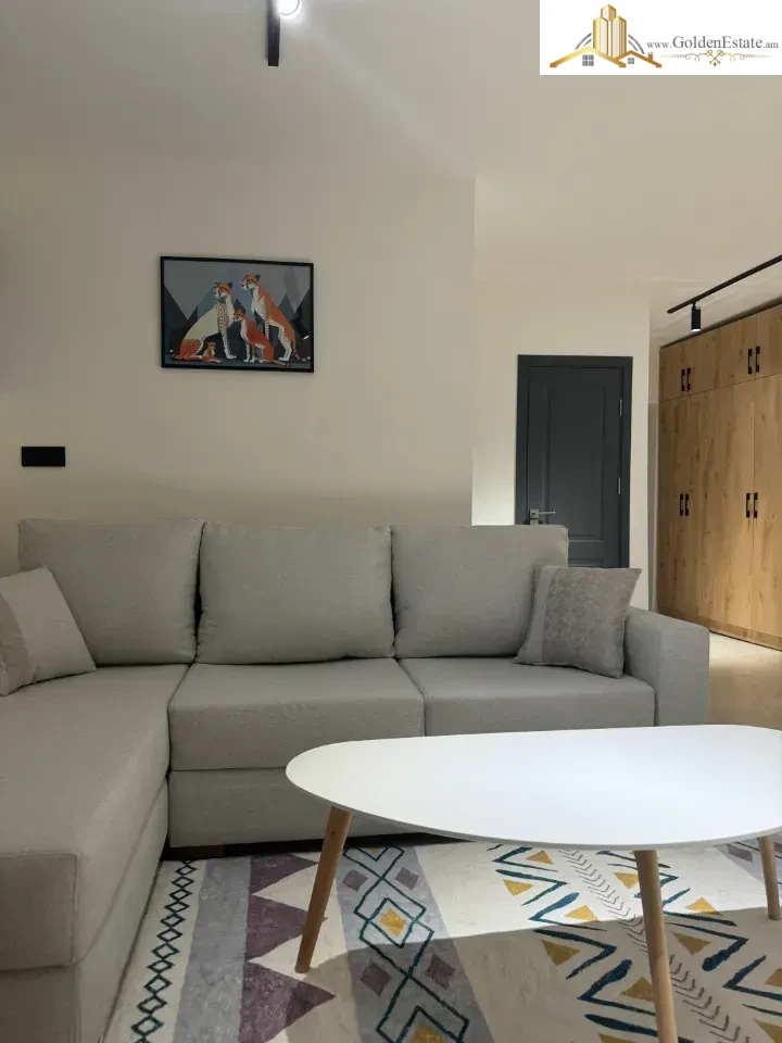 1 room apartment on Saryan Street in the center, 33 sq.m., 1/9 floor