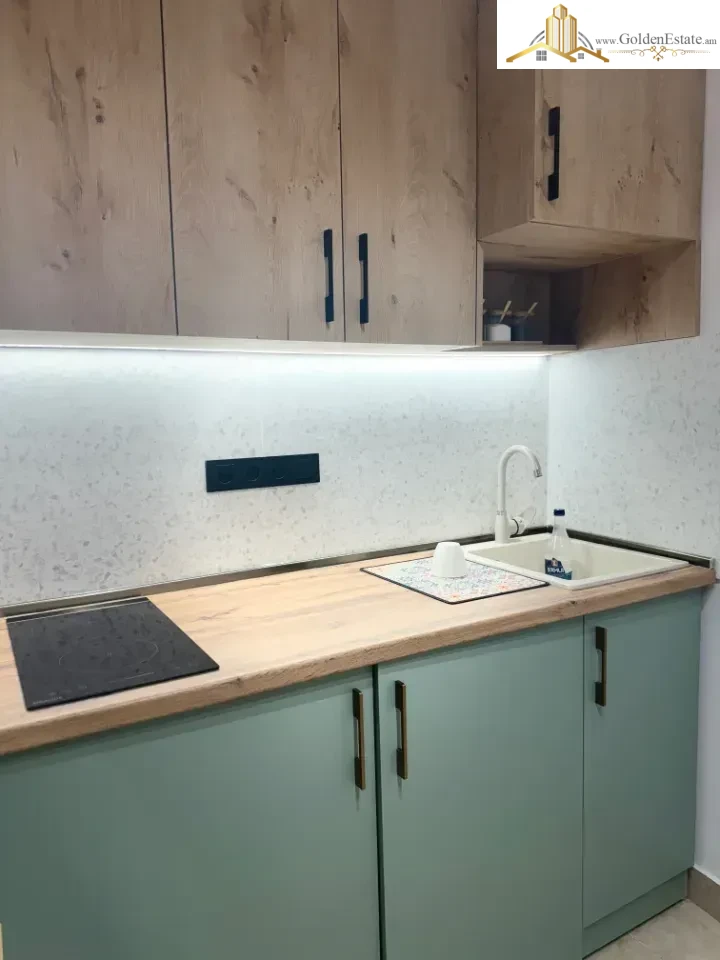 1 room apartment on Saryan Street in the center, 33 sq.m., 1/9 floor