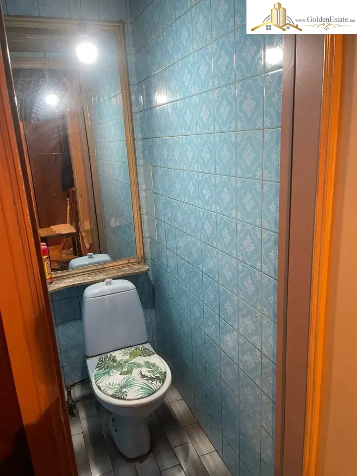 Spacious 1 room apartment on Vardanants Street in the center, 52 sq.m., 1/9 floor